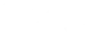 Logo de google